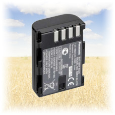Акумулятор Panasonic DMW-BLF19E