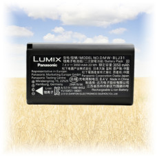 Акумулятор Panasonic DMW-BLJ31E для Lumix DMC-S1