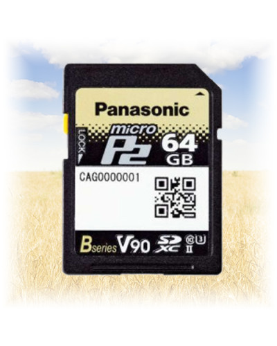 Карта пам'яті microP2 на 64Гб Panasonic AJ-P2M064BG