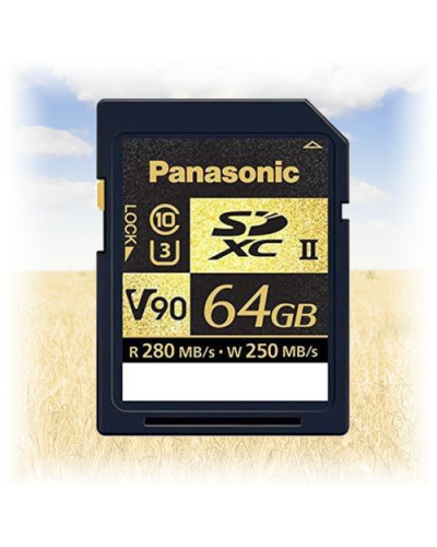 Карта пам'яті Panasonic RP-SDZA64GAK