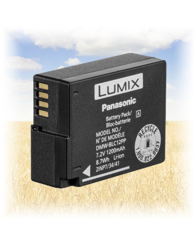 Зарядний пристрій Panasonic DMW-BTC10E для акумулятора DMW-BLF19