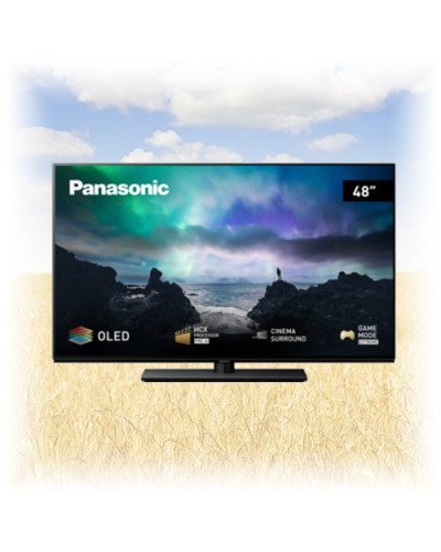 4K OLED телевизор Panasonic TX-48MZ800E
