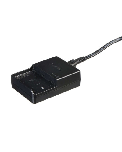 Зарядний пристрій Panasonic DMW-BTC10E для акумулятора DMW-BLF19